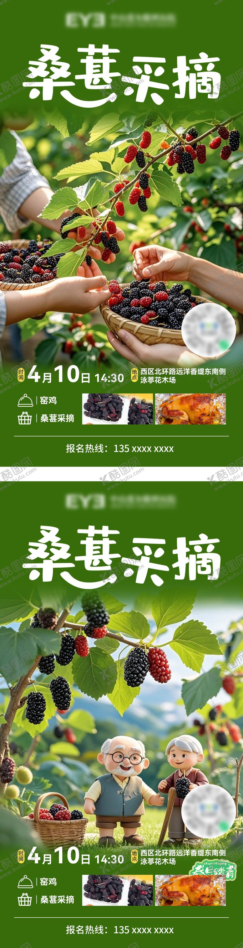 编号：51118804292107525407【酷图网】源文件下载-桑葚采摘