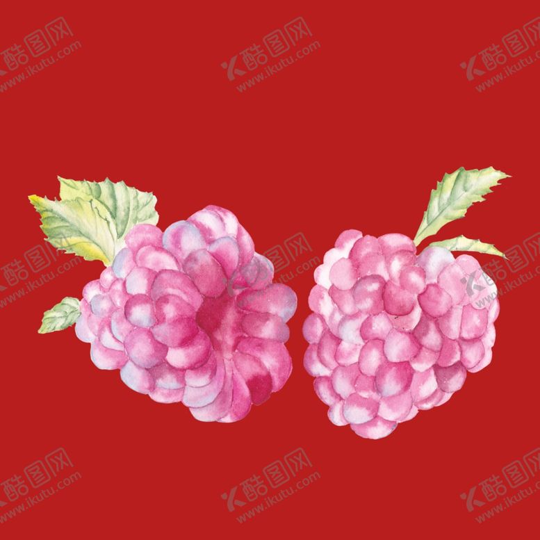 编号：54160001251018042516【酷图网】源文件下载-水果覆盆子