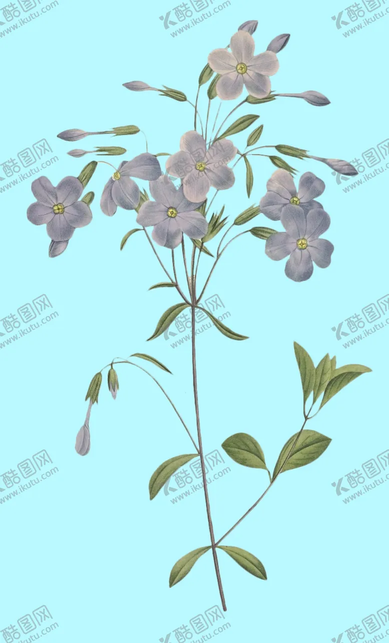 编号：61598106280128188163【酷图网】源文件下载-手绘花