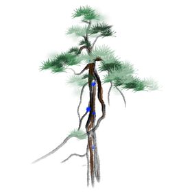 水墨中国风迎客松