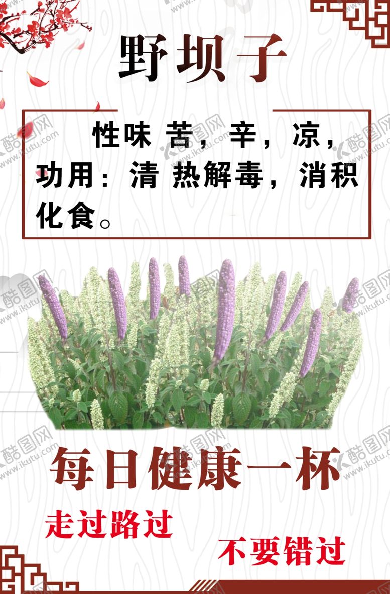 编号：35061510090043243872【酷图网】源文件下载-野坝子.psd