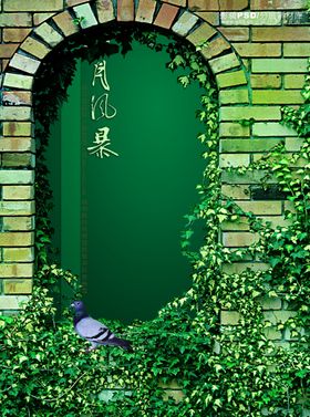 高档雅致复古窗前藤蔓精美海报