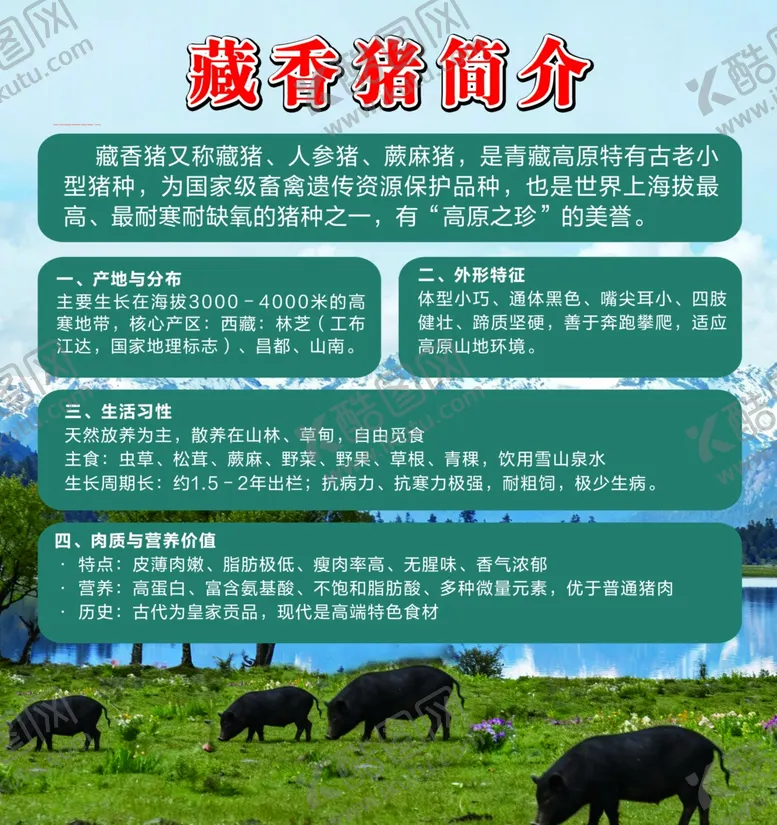 编号：29375806031650161584【酷图网】源文件下载-藏香猪简介