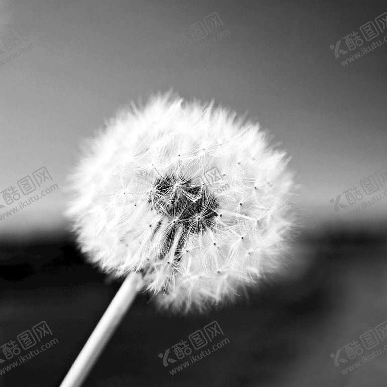 编号：01643510120728318403【酷图网】源文件下载-装饰画