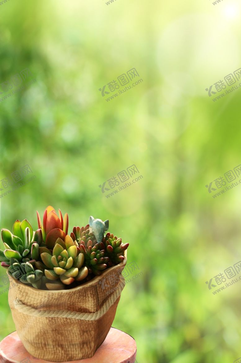 编号：79525710041938101312【酷图网】源文件下载-春季盆栽diy活动儿童暖场活动