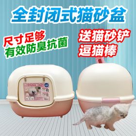 猫砂盆淘宝主图模板