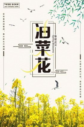 油菜花