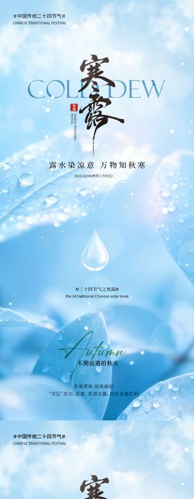 寒露实景系列节气海报