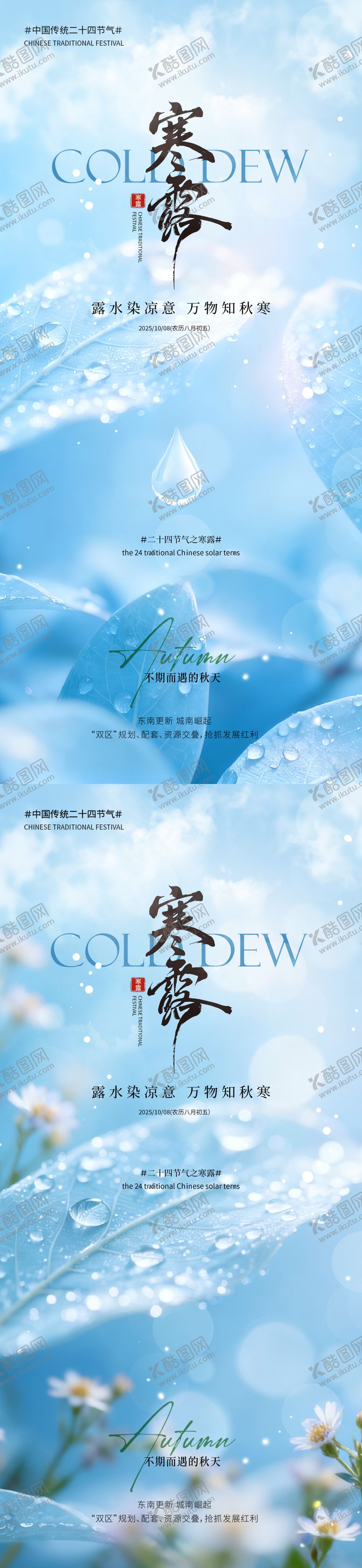 编号：76193509291735359334【酷图网】源文件下载-寒露简约实景节气海报