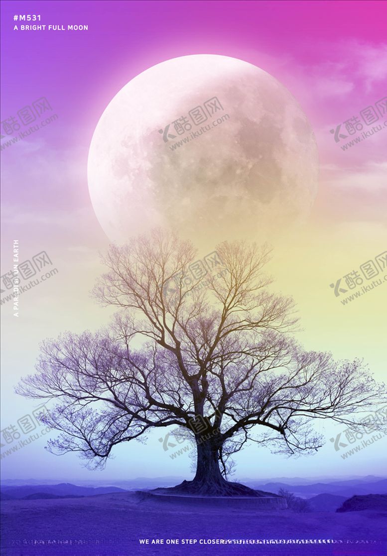 编号：33144305060724568883【酷图网】源文件下载-星空星球海报