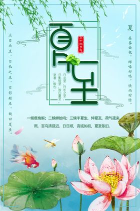 夏至海报