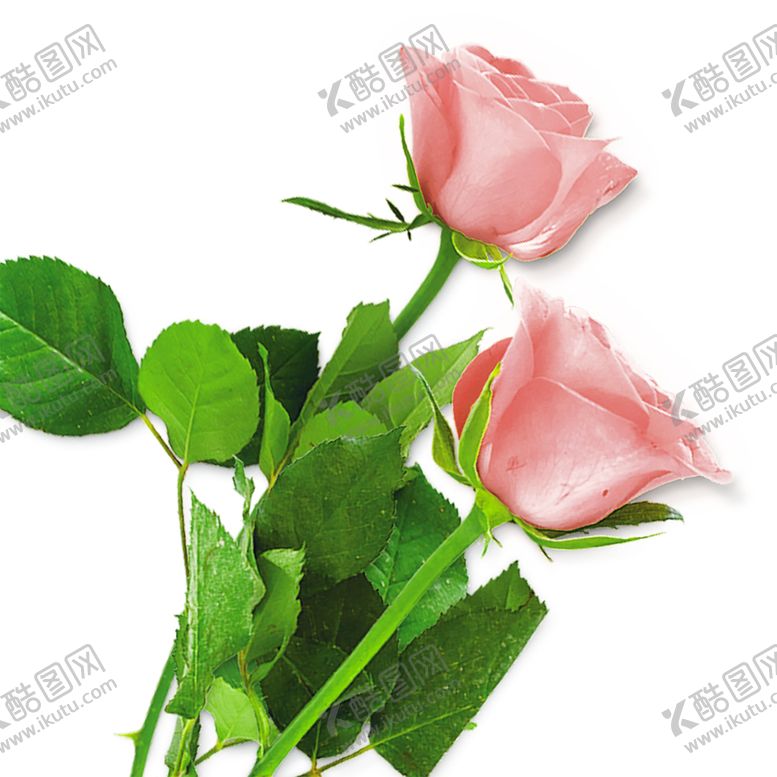 编号：76696310281114077627【酷图网】源文件下载-浪漫素材