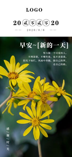 早安新的一天