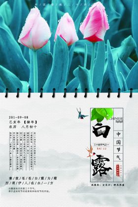 编号：41829609240744126057【酷图网】源文件下载-白露节气插画