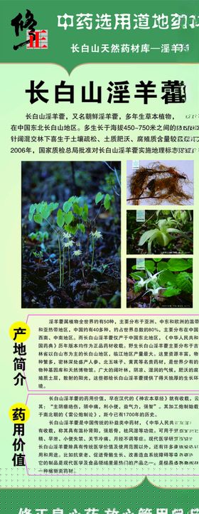 修正药展架