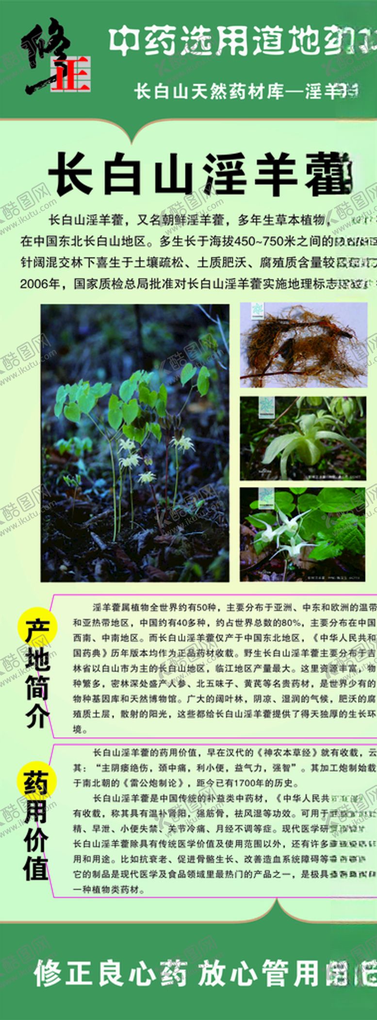 编号：78915509101844175737【酷图网】源文件下载-修正药展架