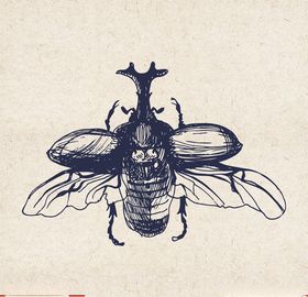 矢量动物矢量植物插画手绘