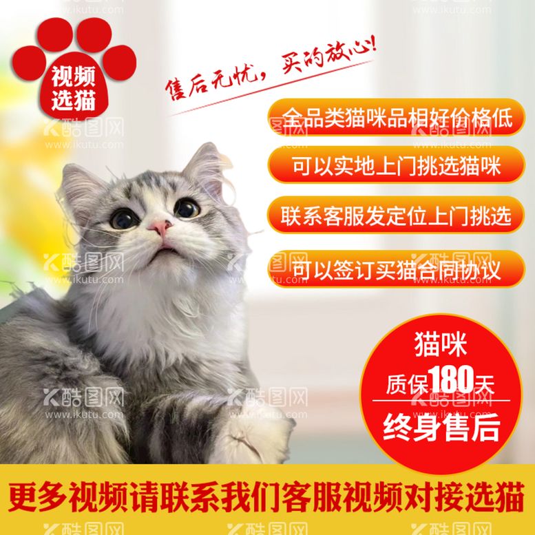 编号：86957109271127433468【酷图网】源文件下载-宠物猫淘宝主图