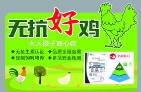 无抗好鸡