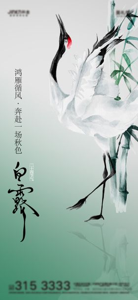 白露节气海报插画寒中式
