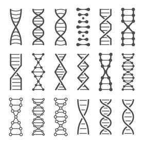 矢量气泡分子风格信息图模板