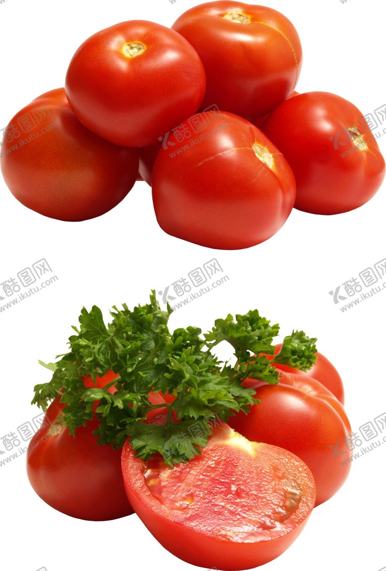 编号：86742009210632101776【酷图网】源文件下载-番茄