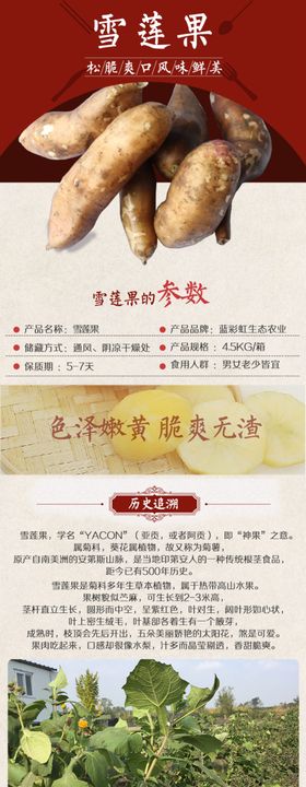 雪莲果详情图