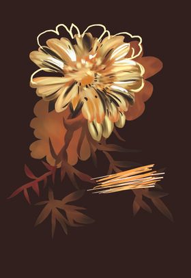 黄花