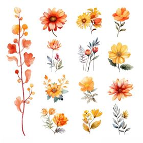 水彩风格多彩花卉插画