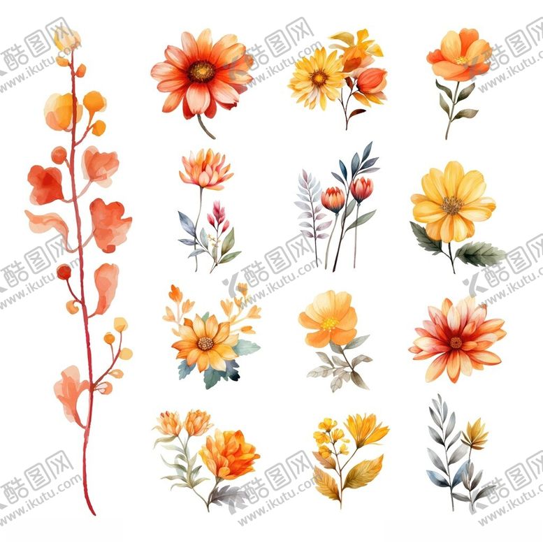 编号：36561011171611006320【酷图网】源文件下载-水彩风格多彩花卉插画