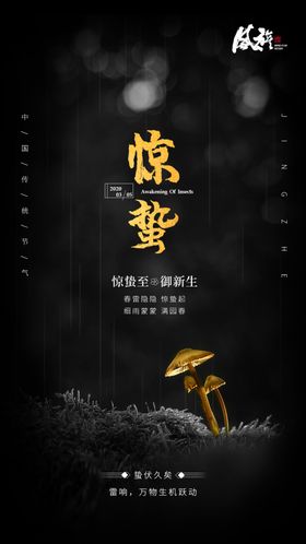 惊蛰海报