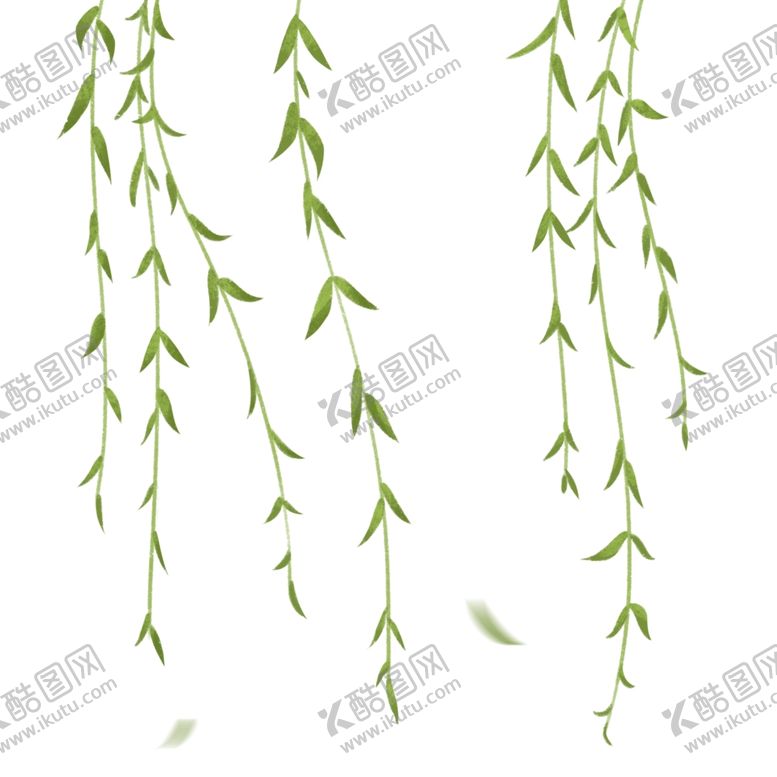 编号：13535610110046009021【酷图网】源文件下载-柳条柳枝