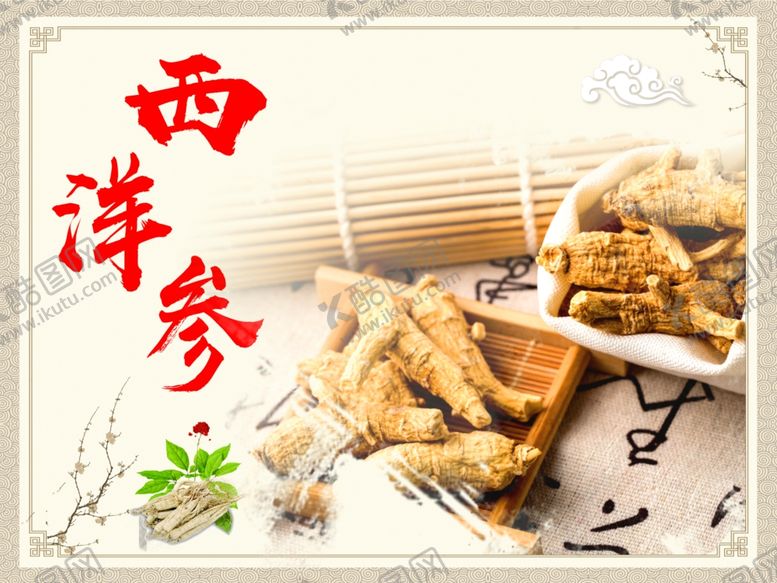 编号：91107306271113111443【酷图网】源文件下载-西洋参