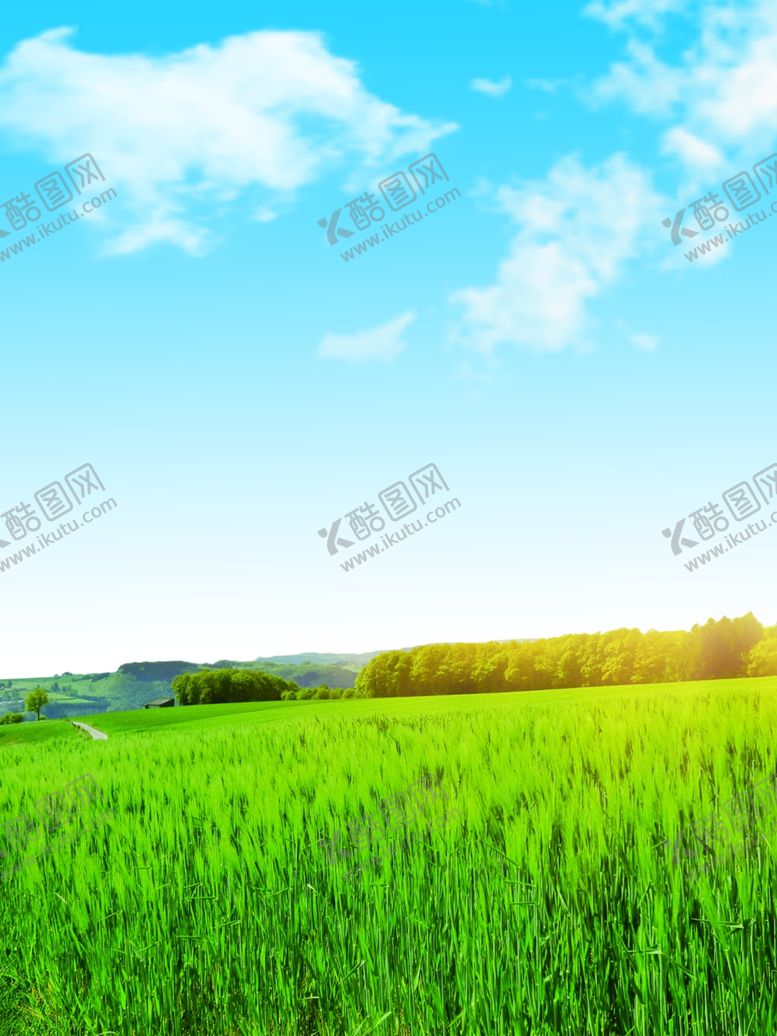 编号：90246802092215595275【酷图网】源文件下载-蓝天下的麦田