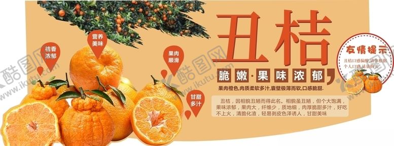 编号：17244105171754508388【酷图网】源文件下载-丑桔造型牌