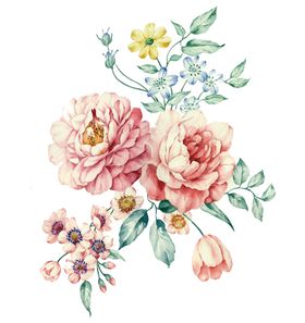花朵
