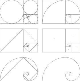 斐波那契黄金螺旋分割线