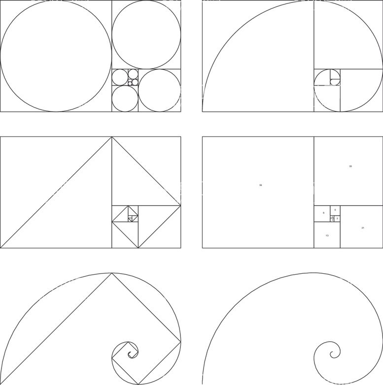 编号：85502412141403223018【酷图网】源文件下载-斐波那契黄金螺旋分割线