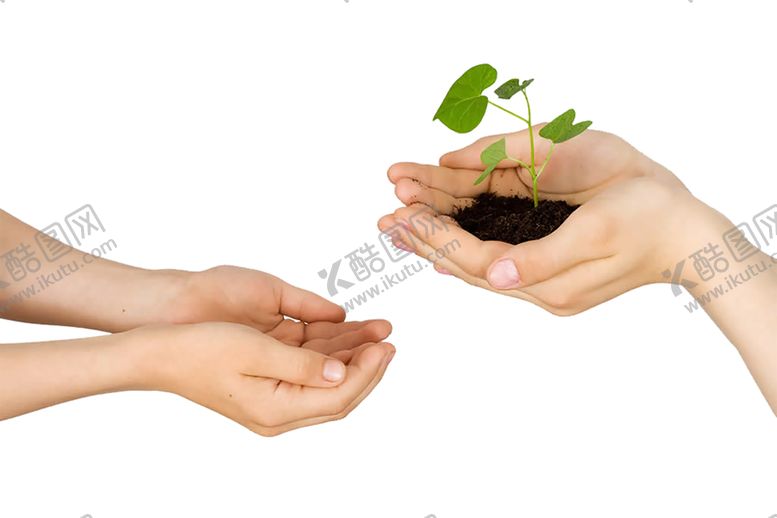 编号：59053509180030274702【酷图网】源文件下载-绿色植物