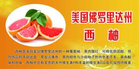 西柚