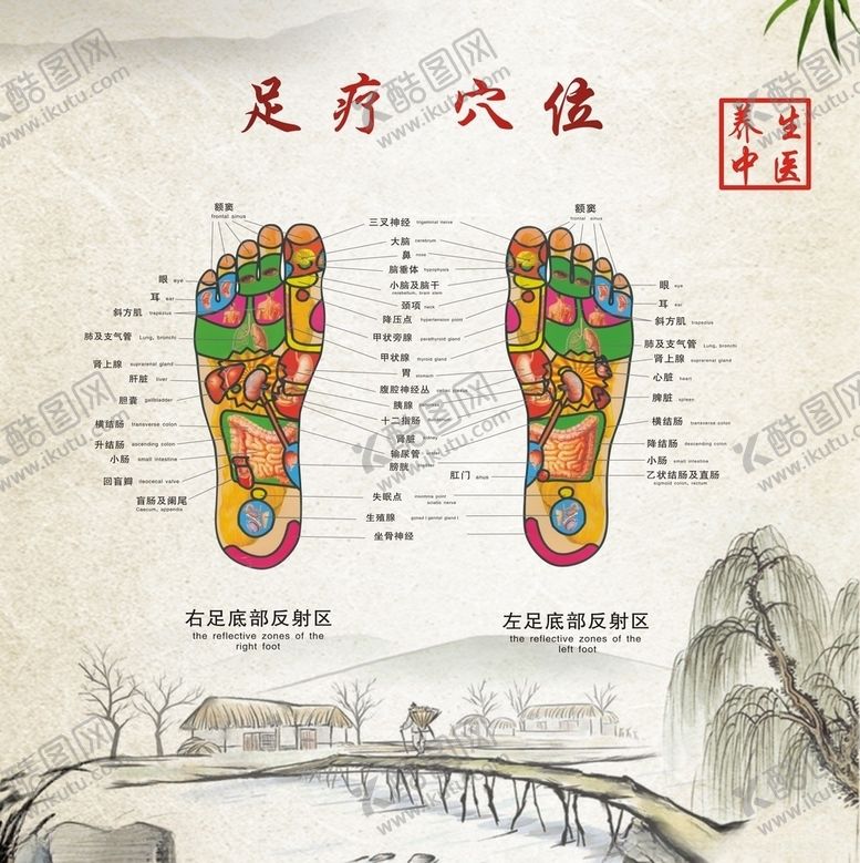 编号：18245310111403115748【酷图网】源文件下载-足疗穴位图