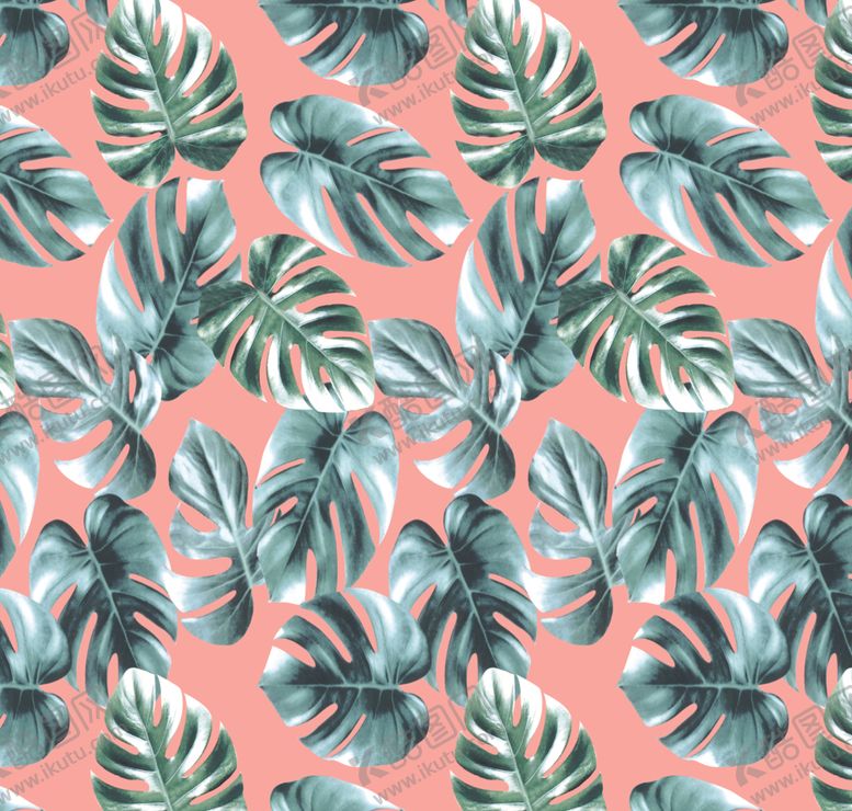 编号：30179410032200185987【酷图网】源文件下载-龟背竹叶子花卉