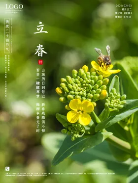 立春高端海报分宣传单