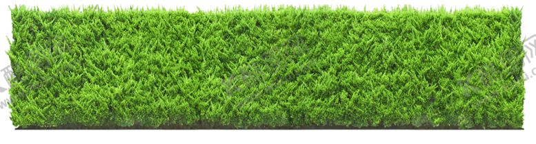 编号：51680109291943574132【酷图网】源文件下载-矮花卉