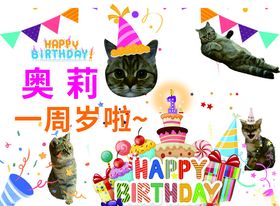 小猫生日海报