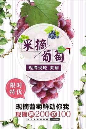葡萄