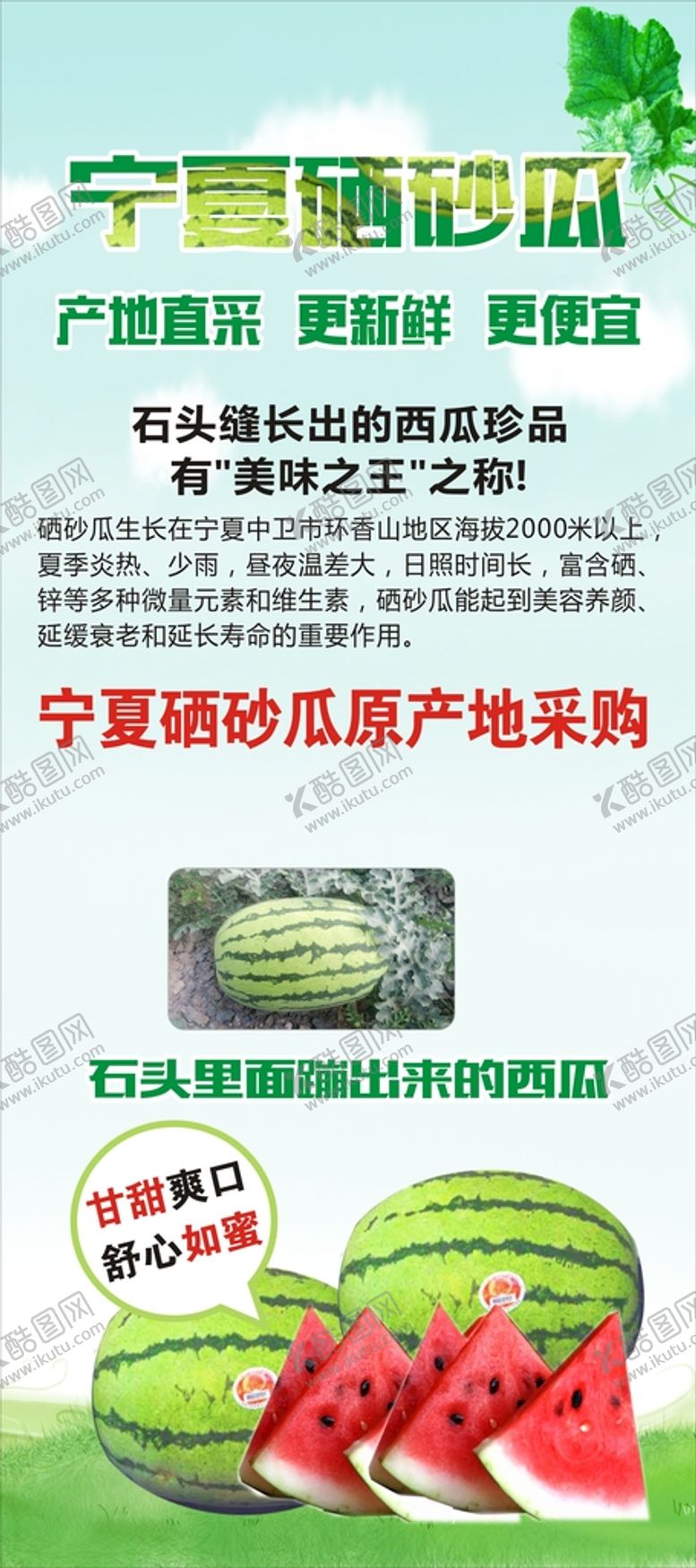 编号：55501002161206037375【酷图网】源文件下载-宁夏硒砂瓜