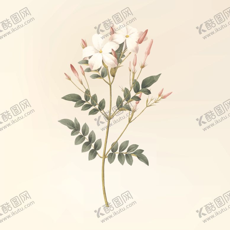 编号：64817210070004414468【酷图网】源文件下载-花纹