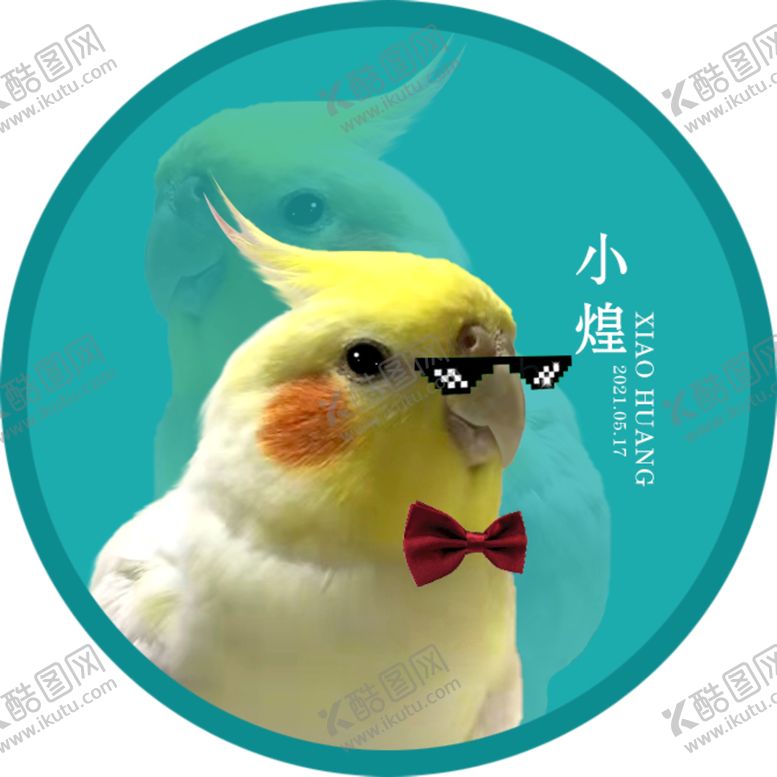 编号：87045909230059287106【酷图网】源文件下载-玄凤鹦鹉头像