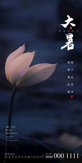 小寒医美节气海报